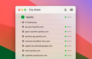 Tiny Shield screenshot 2