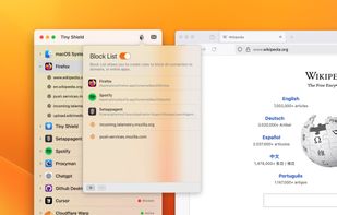 Tiny Shield screenshot 1