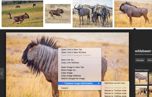 Tinybeest Chrome Extension CTRL-click menu