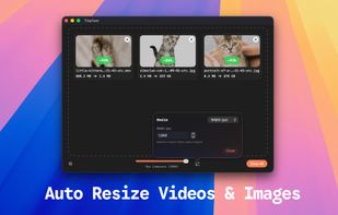 TinyFast screenshot 2