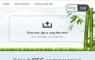 TinyJPG screenshot 1