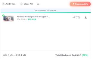 TinyPNG Chrome Extension screenshot 1