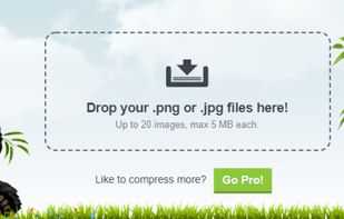 TinyPNG screenshot 1