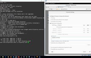 TinyProxy screenshot 1