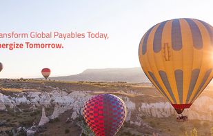 Tipalti screenshot 1