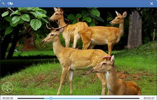 Tipard Video Enhancer screenshot 1