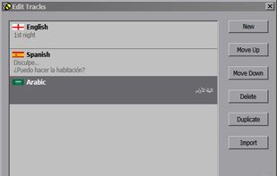 Editing subtitle tracks