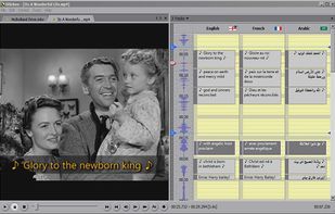 Subtitling