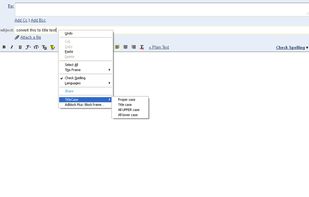 TitleCase Firefox Addon screenshot 1