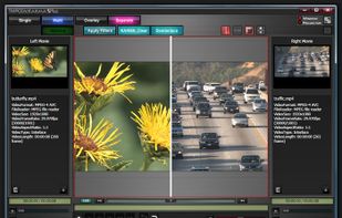 In multiview mode, you can compare two videos in a variety of ways. This is the separator mode (divided) where two videos share the same space and a divding line splits the screen. The dividing line can be moved to show more or less of one video.