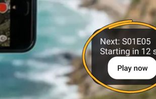 The next episode starts on its own, with a countdown