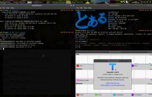 ToaruOS screenshot 1