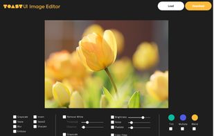 TOAST UI Image Editor screenshot 1