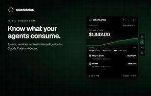 tokenkarma: monitor Claude Code and Codex tokens, sessions and estimated API value.