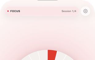 The same timer on iPhone, full screen.