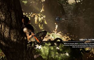 Tomb Raider screenshot 1