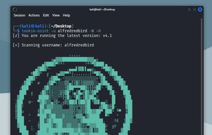Tookie-OSINT screenshot 1