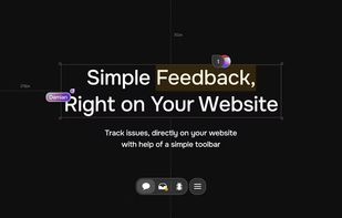 Simple Feedback Right on Your Website.