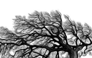 ToonCamera screenshot 1