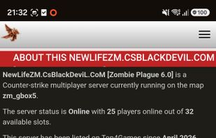 Example of counter strike server details 2