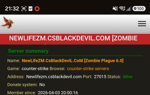 Example of counter strike server details