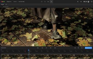 Topaz Photo AI screenshot 1
