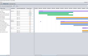 Project Milestones Control