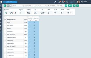 Topvisor screenshot 1
