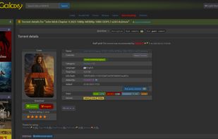 TorrentGalaxy screenshot 1