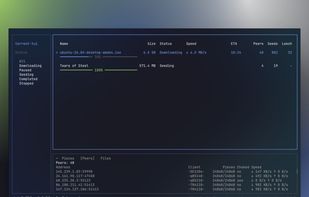 torrent-tui screenshot 1