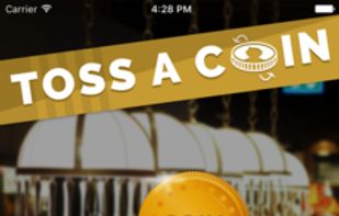 Toss a Coin screenshot 1