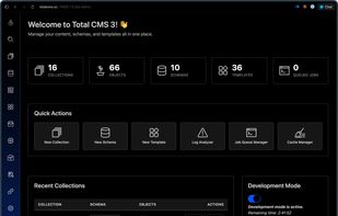 The Total CMS admin dashboard: collections, schemas, templates, and system status on a live production site.
