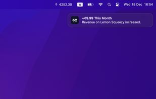 Real-time revenue notifications.