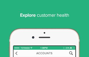 Totango screenshot 2