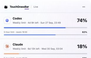 Native macOS app: friends leaderboard. Sample names and usage data; rankings measure token usage, not work quality.