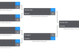 Tournament Bracket Management Service screenshot 1