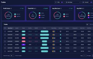 Trade journal with synced trades, P&L, setups, ratings, review status and other trade details.