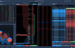 Panels supporting level 2 data
