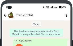 Transcribbit Transcribes the Message
