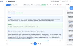 Transcription and AI chat