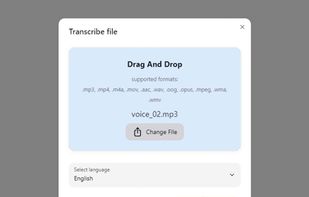 TranscribetoText.ai screenshot 1