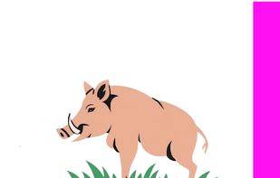 Transcriboar screenshot 1