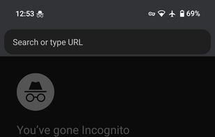 Official Transcribro developer screenshot showing the simple Material UI.