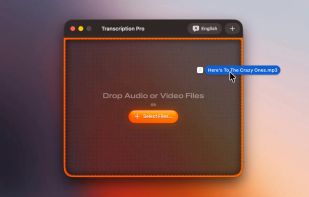 Transcription Pro screenshot 2