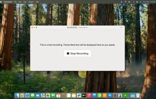 Transcriptor screenshot 1
