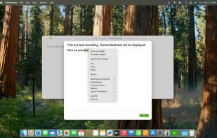 Transcriptor screenshot 1