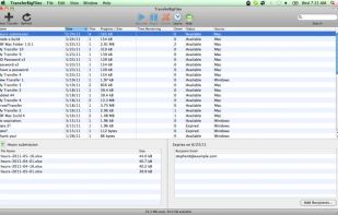 TransferBigFiles.com screenshot 1