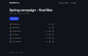 Choose files or a whole folder, name the transfer, set how long the link lasts. No account needed.