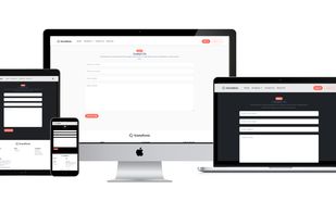 Transfonic screenshot 1