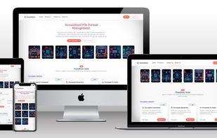 Transfonic screenshot 3